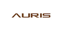 auris audio srbija